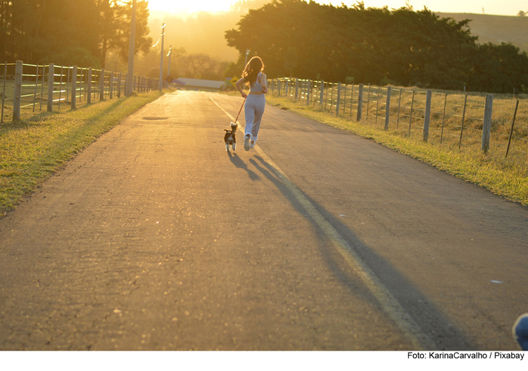 Ein perfektes Team: Joggen mit Hund 