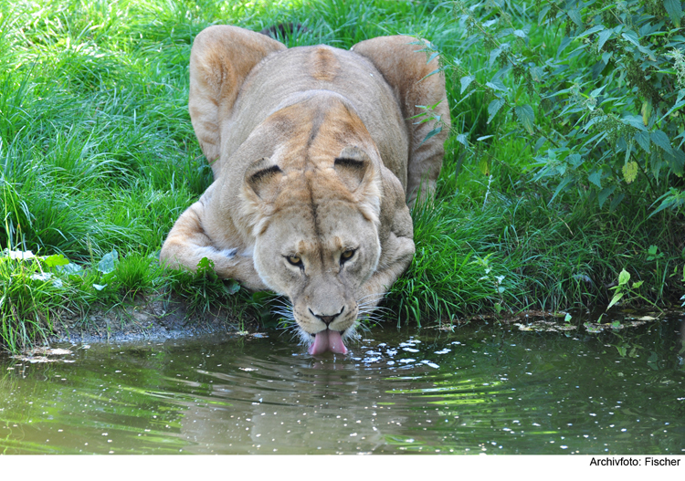 Zoo-Tag in Augsburg