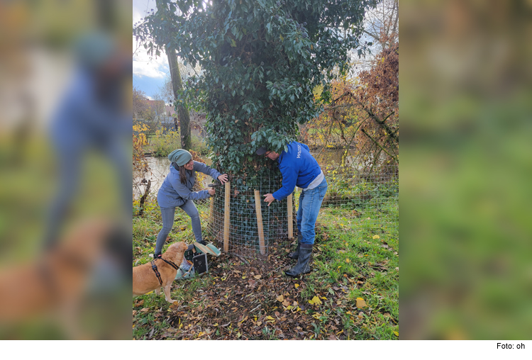 Baumschutzaktion entlang der Paar