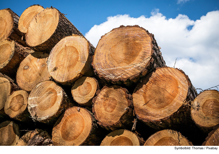 Holzlaster verliert Ladung – Zeugen gesucht