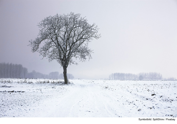 Auf schneebedecktem Feld gedriftet