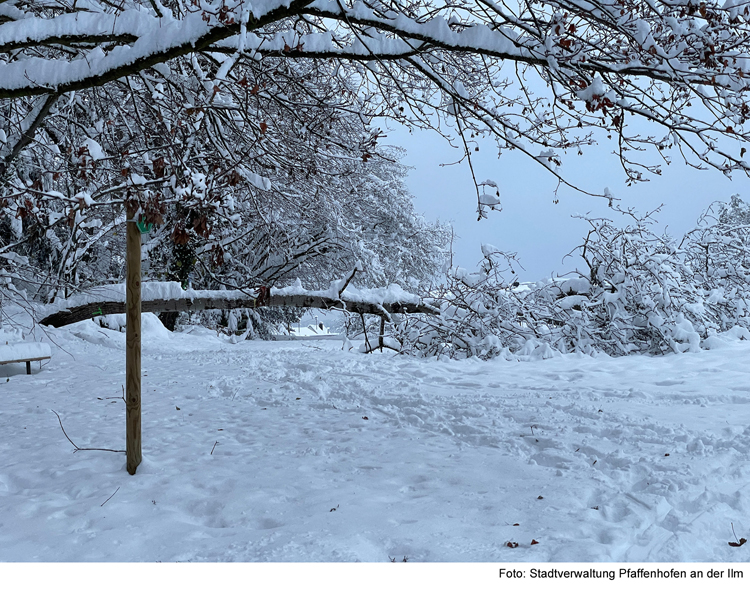 Schneebruchgefahr: Waldwege meiden