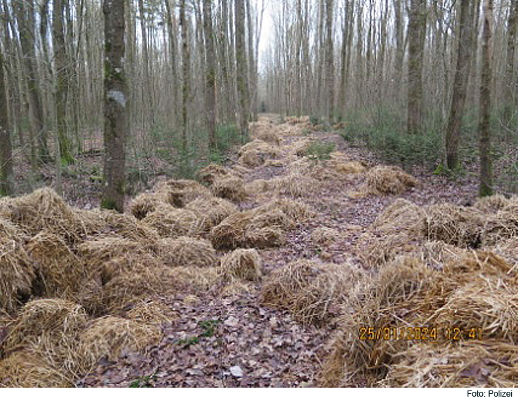 Wer hat das Stroh in den Wald gekippt?