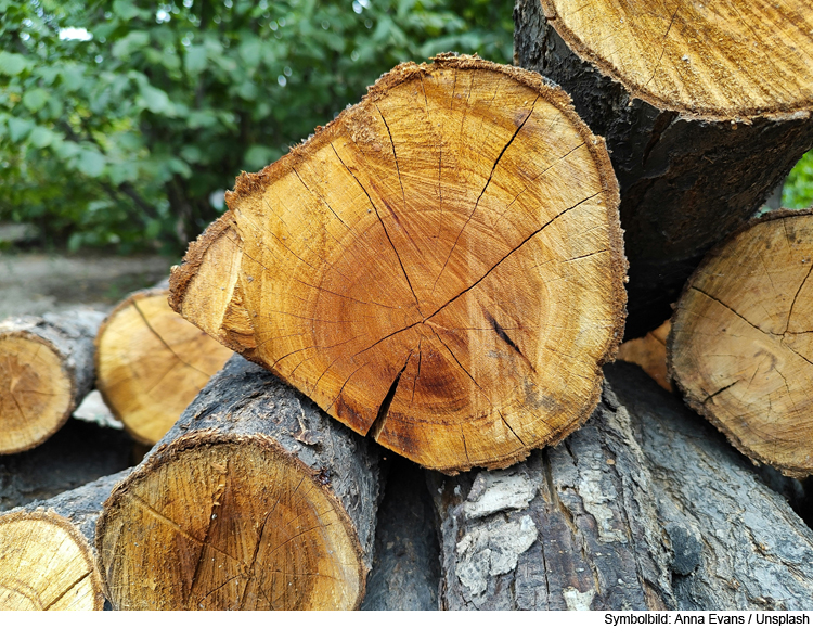 Unrechtmäßig Holz abgeladen