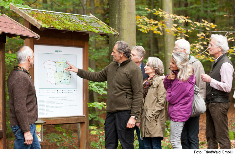 Führung durch den FriedWald Altmühltal