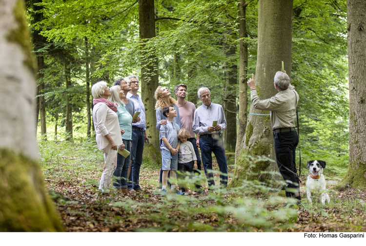 Lernen Sie den FriedWald „Altmühltal“ kennen