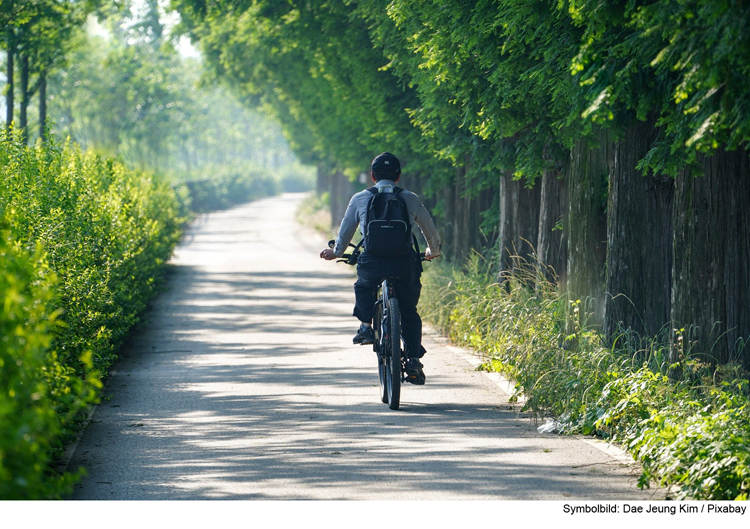 Hund läuft in Radfahrer, der stürzt auf die Fahrbahn