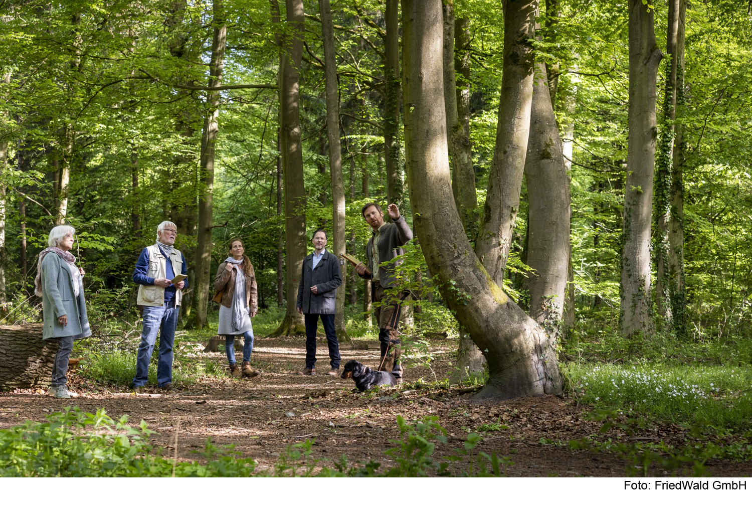 Führung durch den FriedWald Altmühltal