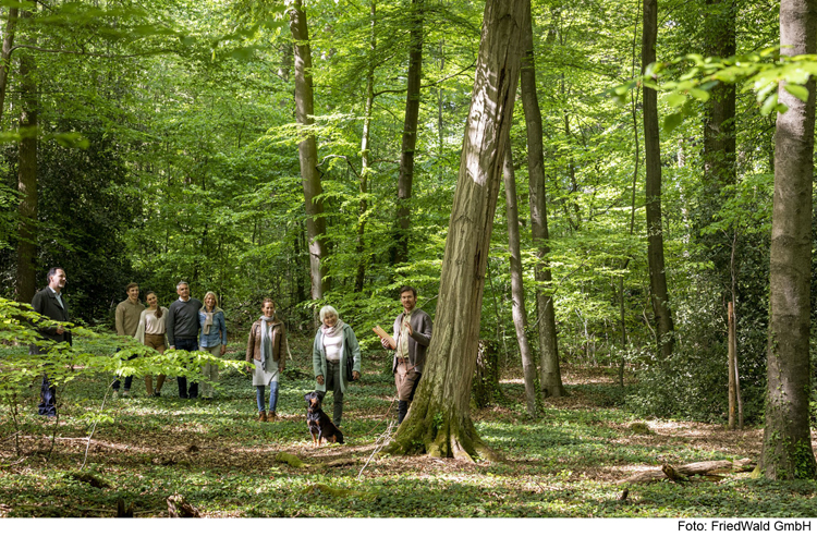 Lernen Sie den FriedWald Altmühltal kennen