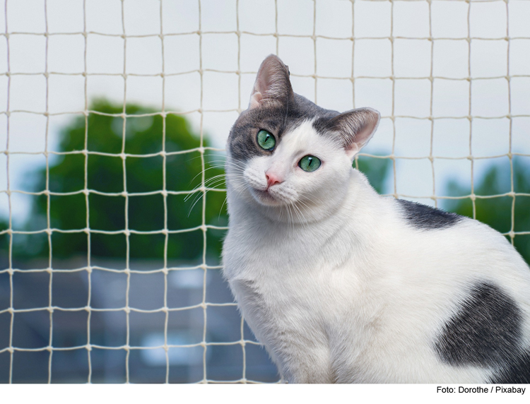 Alles für die Katz‘- auch der Balkon