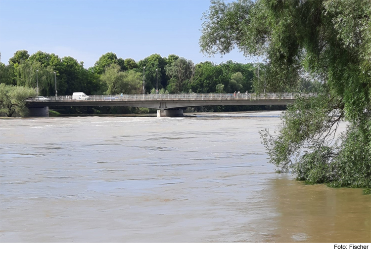 Grundwasserspiegel bleibt in Ingolstadt hoch