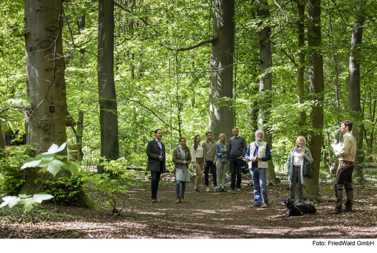 Den FriedWald Altmühltal bei einer Waldführung erleben