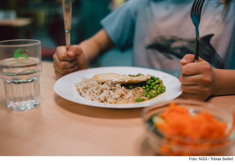 Kostenloses Mittagessen für 114 Kitas und 32 Schulen in Ingolstadt?