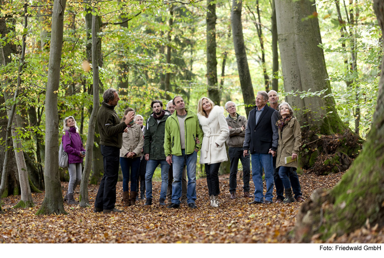 FriedWald Altmühltal kennenlernen