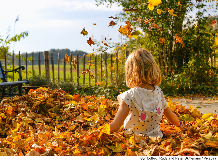 Farbenfroher Herbst im Museum