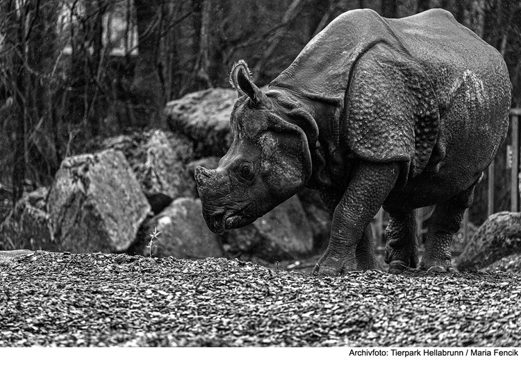 Rapti (35) tot aufgefunden