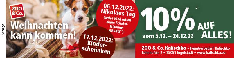 Weihnachten mit der Katze - katzensicher dekorieren