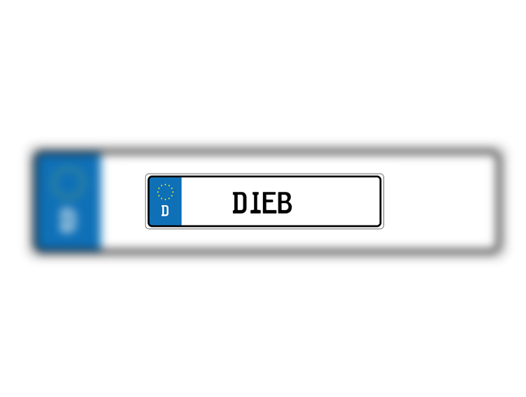 Vier Autokennzeichen gestohlen