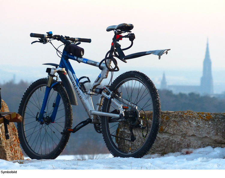 Nächtliche Fahrraddiebe