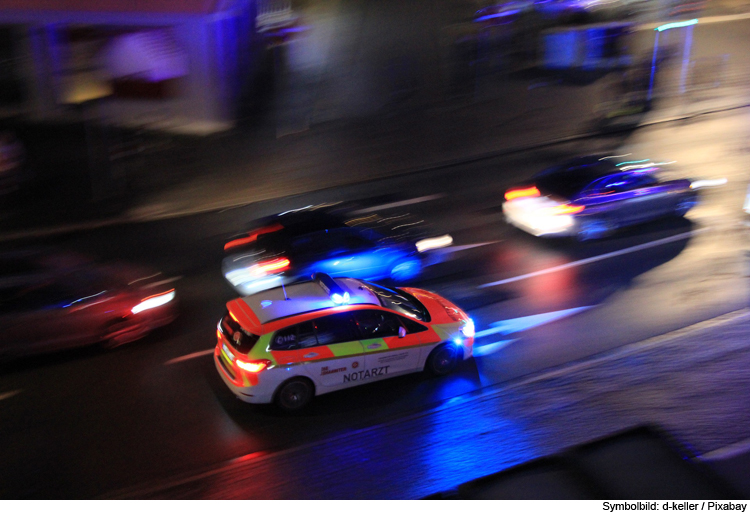 Autofahrer (34) nach Wildunfall schwer verletzt