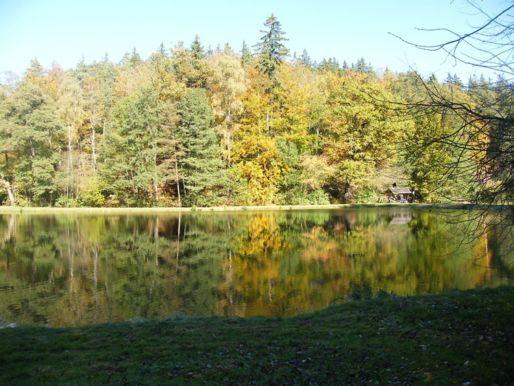 Unbekannte zerstören Fischweiher